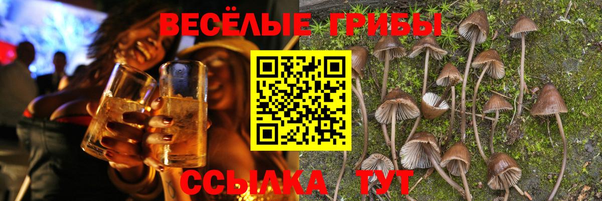 Псилоцибиновые грибы мицелий Ирбит