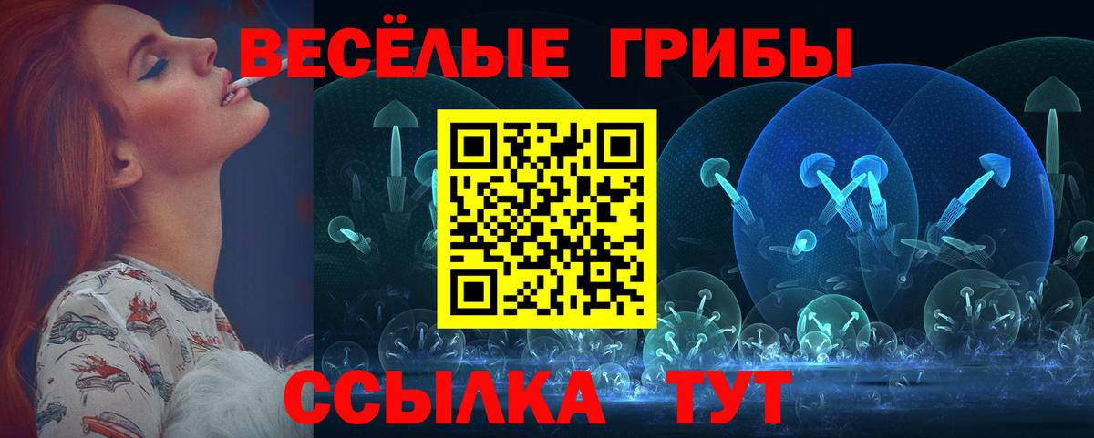 Ирбит  Псилоцибиновые грибы Psilocybe  Вход с VPN  Галлюциногенные грибы MAGIC MUSHROOMS 